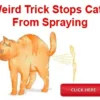 Cat Spray Stop