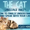 Cat Language Bible