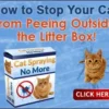 Cat Spaying No More