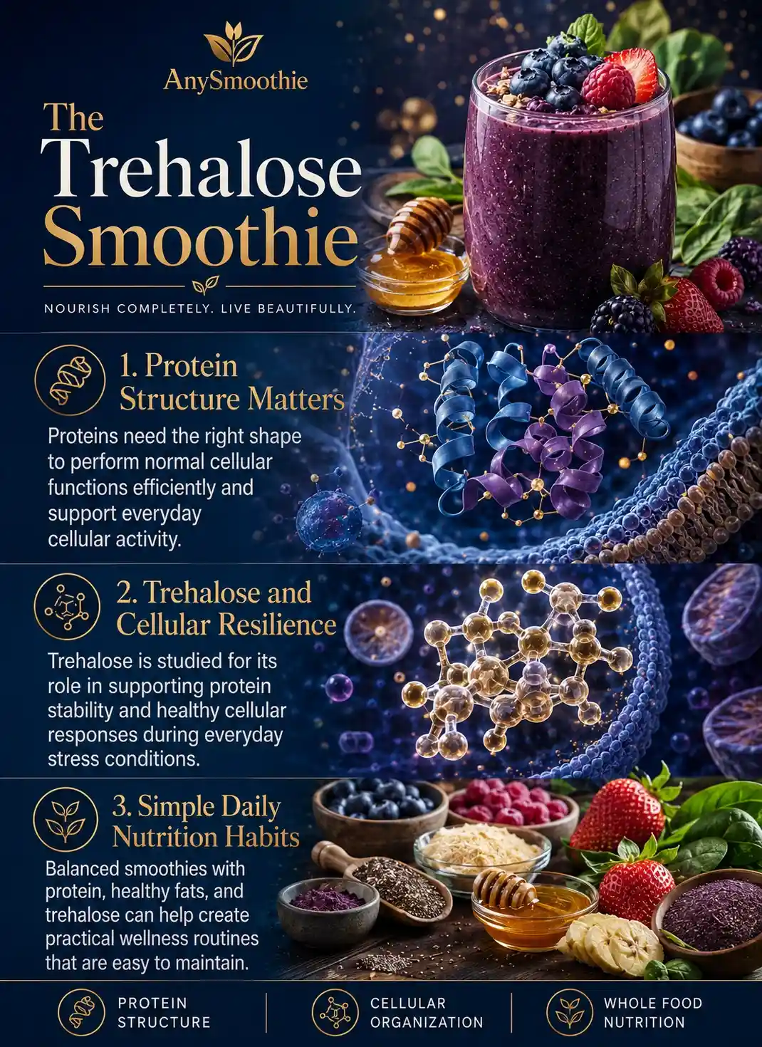 Premium wellness-science infographic about a trehalose smoothie for protein folding featuring protein structure awareness, cellular resilience, balanced smoothie nutrition, berries, honey, healthy fats, and whole-food wellness habits.