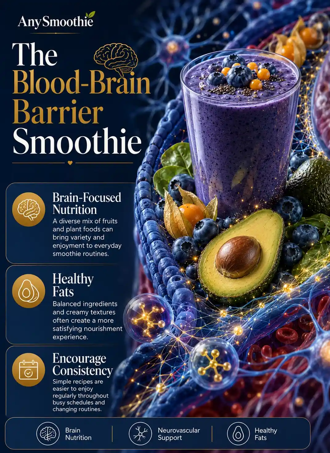 Premium wellness infographic about smoothies for blood brain barrier support featuring blueberries, avocado, golden berries, healthy fats, brain-focused nutrition, neurovascular support concepts, and balanced daily smoothie habits.