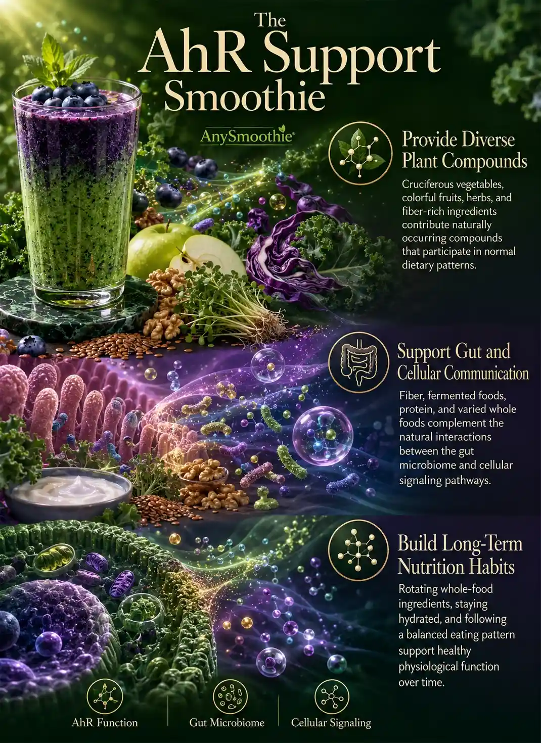 Infographic showing smoothies supporting aryl hydrocarbon receptor function with blueberries, kale, broccoli sprouts, purple cabbage, green apple, walnuts, flaxseed, and gut microbiome-inspired wellness illustrations.